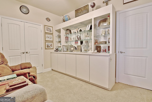 interior space featuring white cabinetry and light carpet