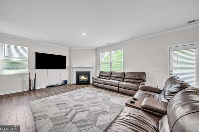 living room featuring light wood-type flooring, crown molding, and a wealth of natural light