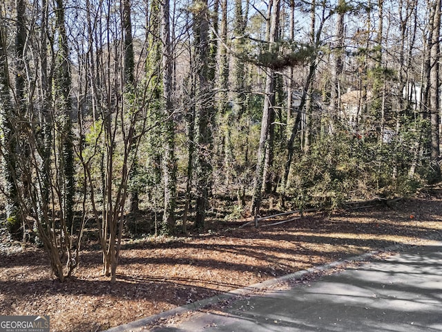 Listing photo 3 for 3089 Shadowood Ln, Marietta GA 30066