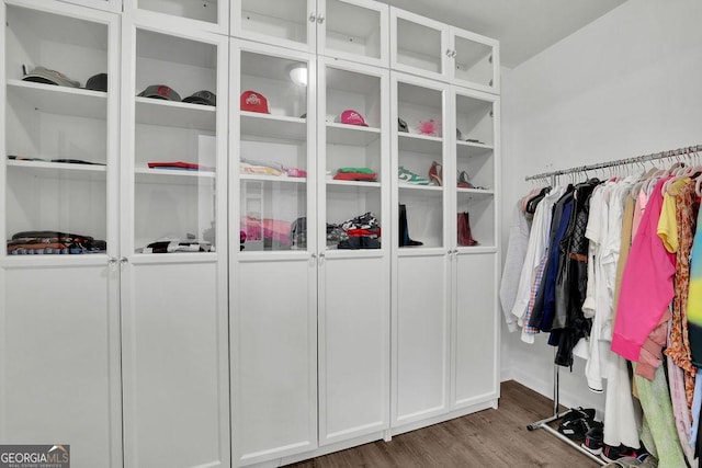 walk in closet featuring hardwood / wood-style floors