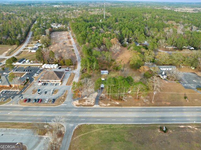 Listing photo 3 for 23606 US Highway 80 E, Statesboro GA 30461