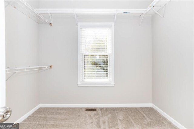 spacious closet with carpet flooring