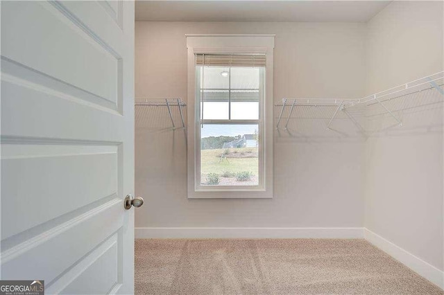 spacious closet with light colored carpet