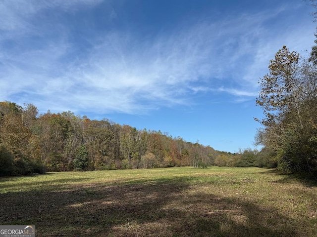 TRACT8 Mount Zion, Oxford GA, 30054 land for sale