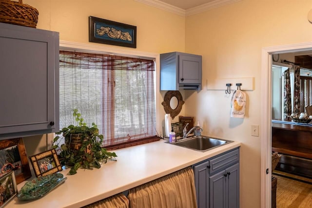 kitchen with gray cabinetry, ornamental molding, sink, and hardwood / wood-style floors