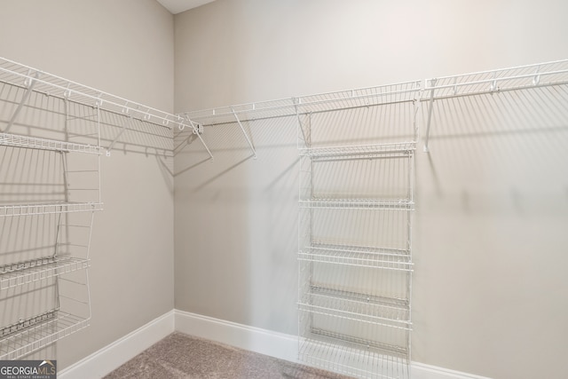 spacious closet featuring carpet flooring