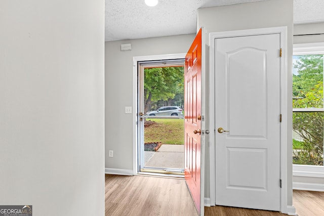 foyer featuring light hardwood / wood-style flooring, a healthy amount of sunlight, and a textured ceiling