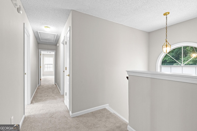 hall featuring light colored carpet and a textured ceiling