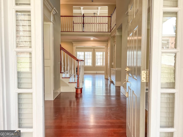 foyer entrance featuring dark hardwood / wood-style flooring