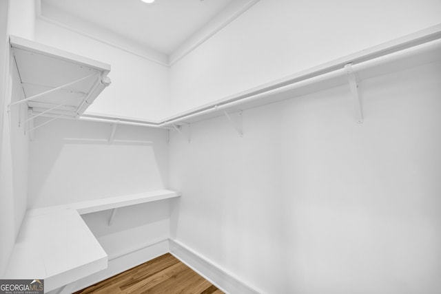 spacious closet with hardwood / wood-style floors