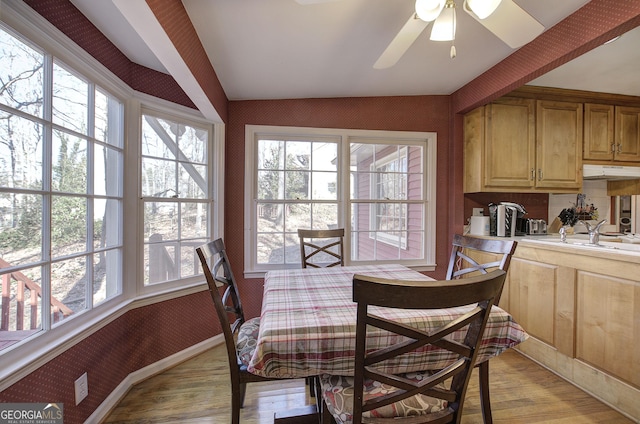 dining room with sink, ceiling fan, a healthy amount of sunlight, and light wood-type flooring