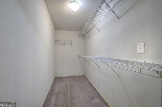 walk in closet featuring carpet floors