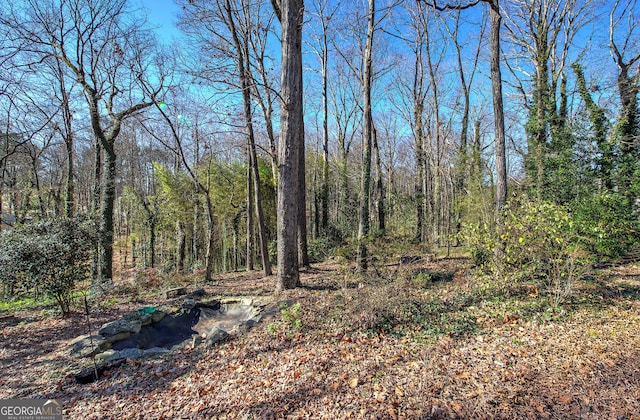 view of landscape