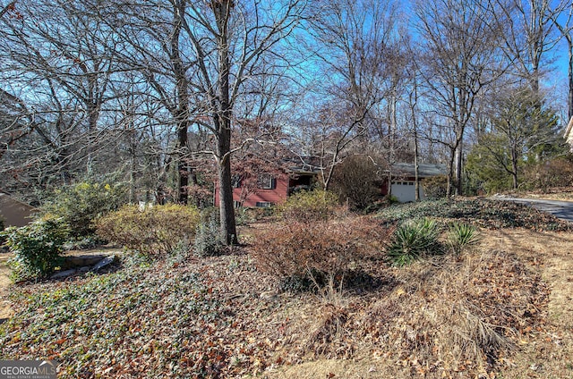 view of yard with a garage