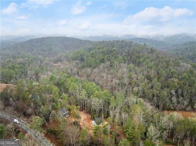 birds eye view of property with a mountain view