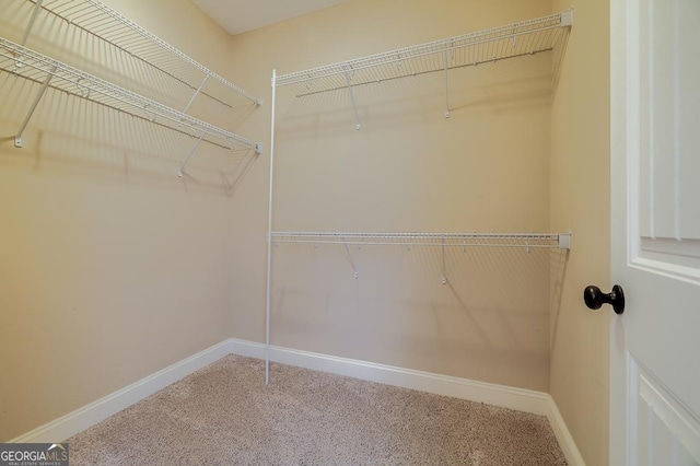 spacious closet featuring carpet