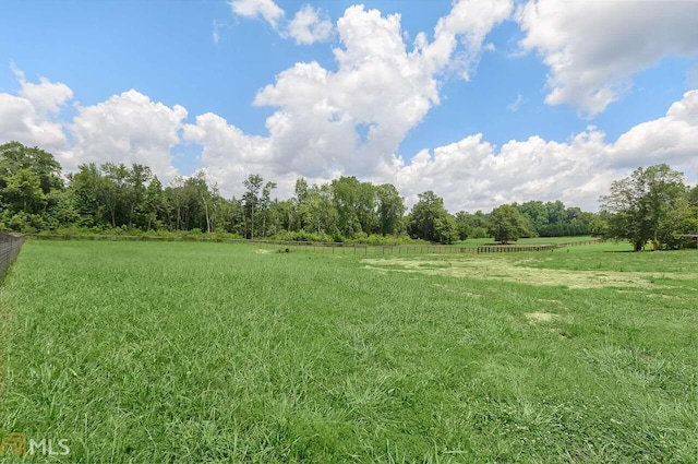 view of yard with a rural view