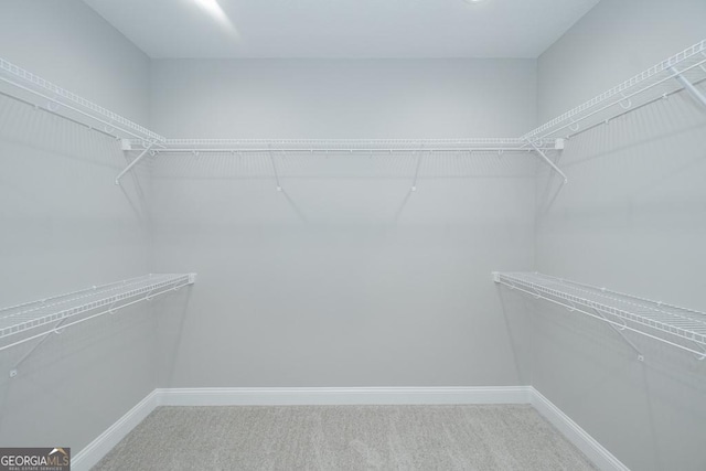 walk in closet with carpet floors