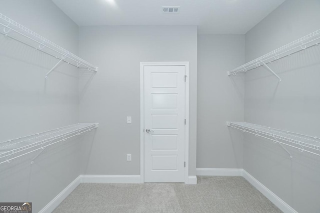 spacious closet with carpet