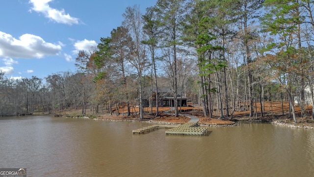 water view featuring a dock