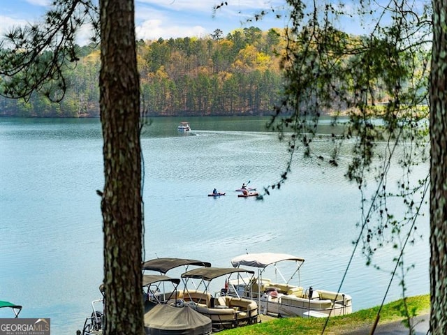 water view featuring a wooded view