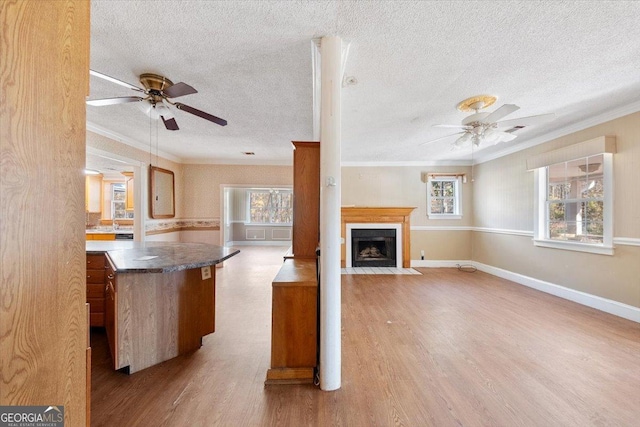 kitchen featuring ceiling fan, light hardwood / wood-style flooring, and ornamental molding