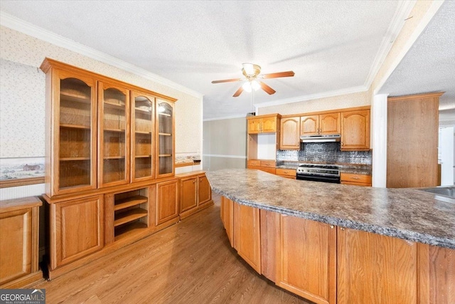 kitchen featuring light wood-type flooring, backsplash, ornamental molding, ceiling fan, and stainless steel gas stove