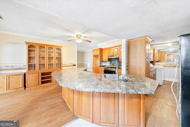 kitchen with decorative backsplash, light hardwood / wood-style flooring, appliances with stainless steel finishes, and ornamental molding