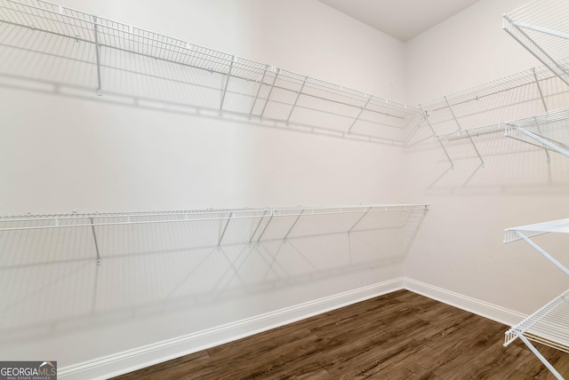 spacious closet with hardwood / wood-style flooring