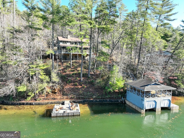 dock area with a water view