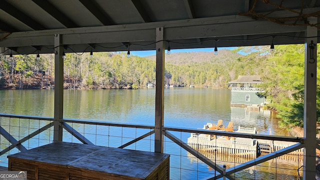 dock area with a water view