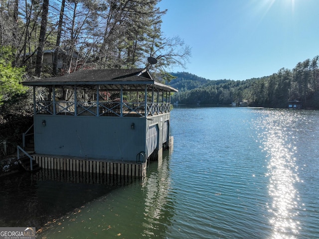 dock area with a water view