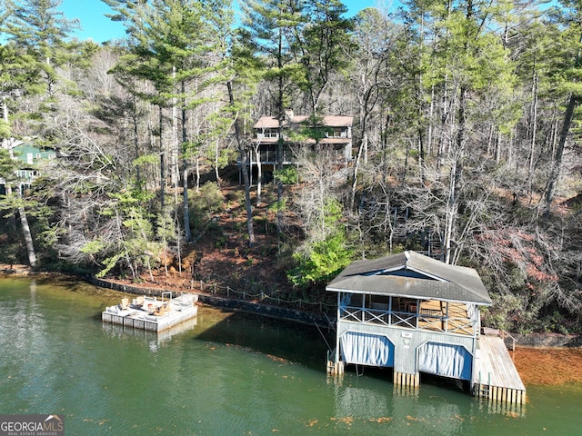 dock area with a water view