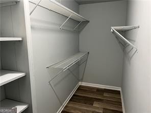 walk in closet featuring dark wood-type flooring