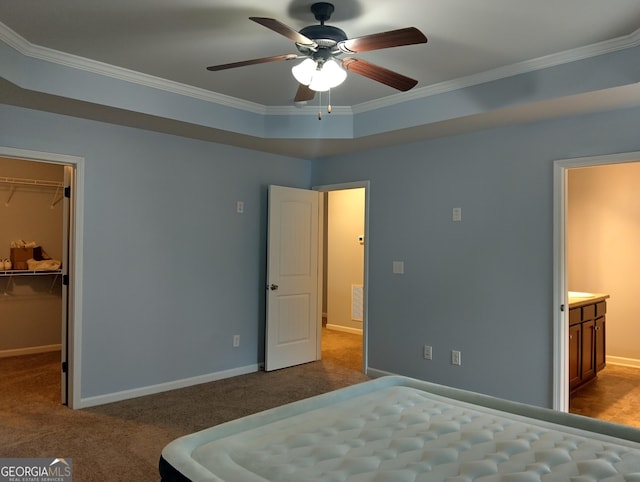 carpeted bedroom featuring a spacious closet, ceiling fan, crown molding, a tray ceiling, and a closet