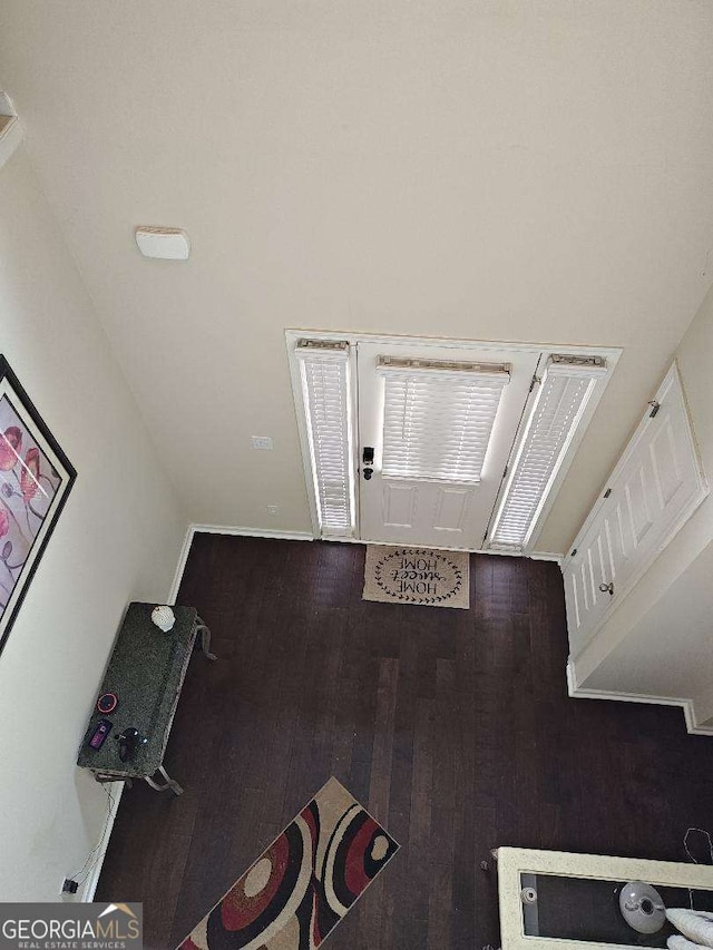 foyer with dark wood-type flooring