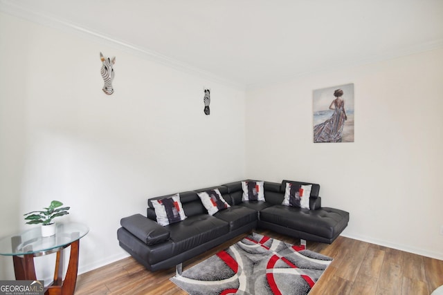 living room with wood-type flooring and crown molding