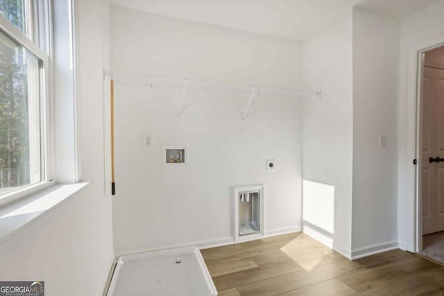 clothes washing area featuring light hardwood / wood-style floors, washer hookup, and hookup for an electric dryer