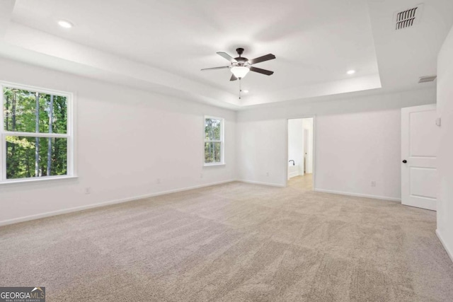 unfurnished room with a tray ceiling, a healthy amount of sunlight, and light colored carpet