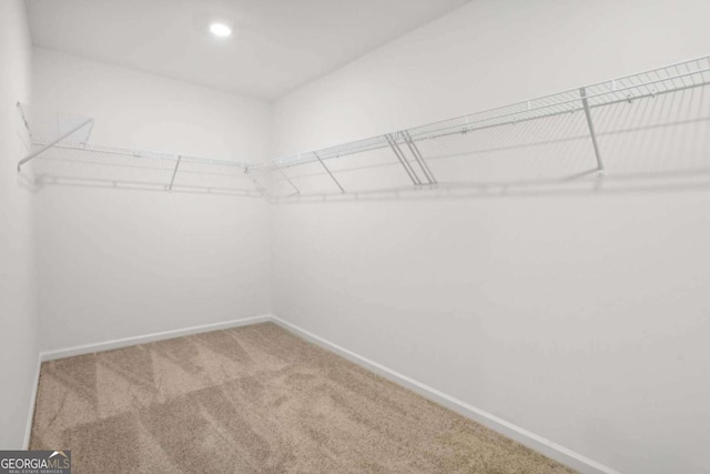 walk in closet featuring carpet flooring