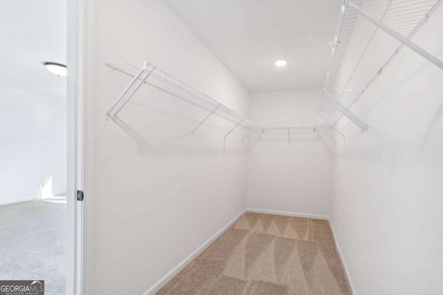 walk in closet featuring carpet flooring