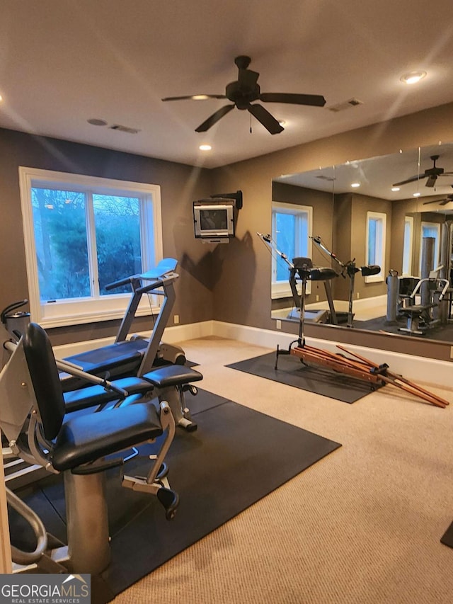 exercise area featuring ceiling fan and carpet floors