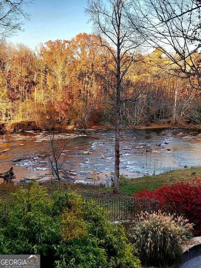 property view of water