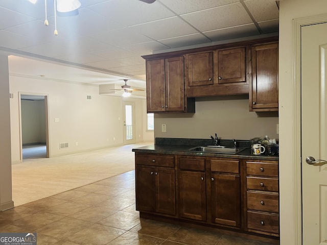 kitchen featuring ceiling fan, sink, a drop ceiling, dark brown cabinets, and carpet