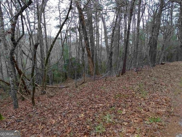 0 Valhalla Dr, Cleveland GA, 30528 land for sale