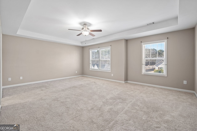 carpeted spare room featuring plenty of natural light and a tray ceiling