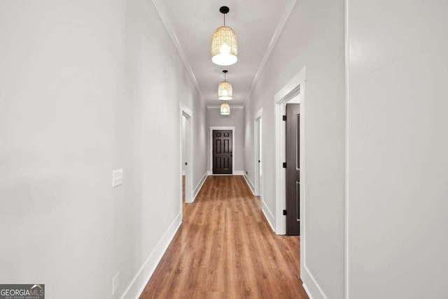 hall with ornamental molding and light wood-type flooring