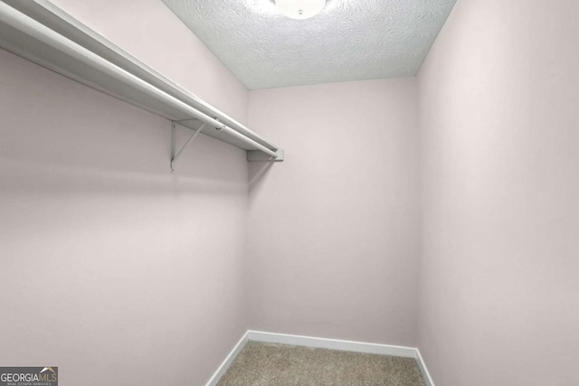 spacious closet featuring carpet floors