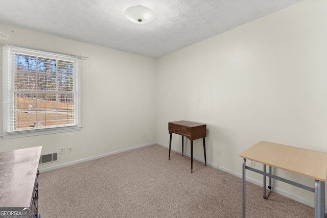 interior space featuring light colored carpet and a textured ceiling