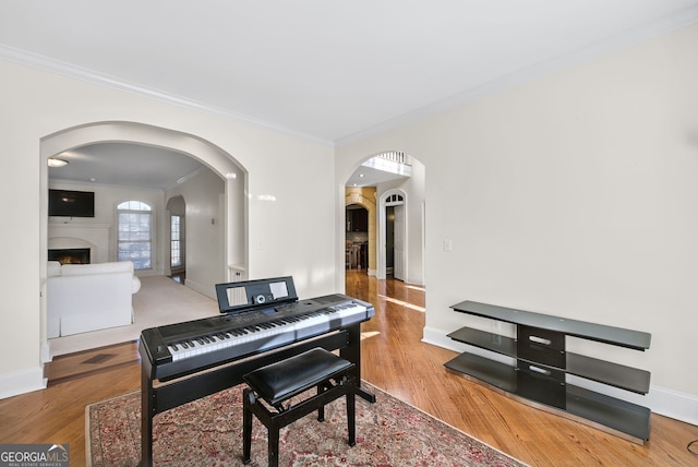 miscellaneous room with wood-type flooring and crown molding